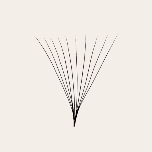 10D Long Stem Premade Lash Fan – XL Box for Fast Volume Sets by GT Lash Co