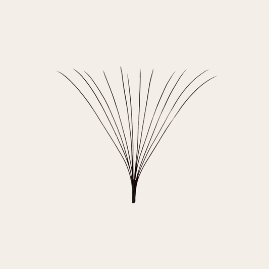 GT Lash Co 12D premade volume lash fan with long stem for mega sets