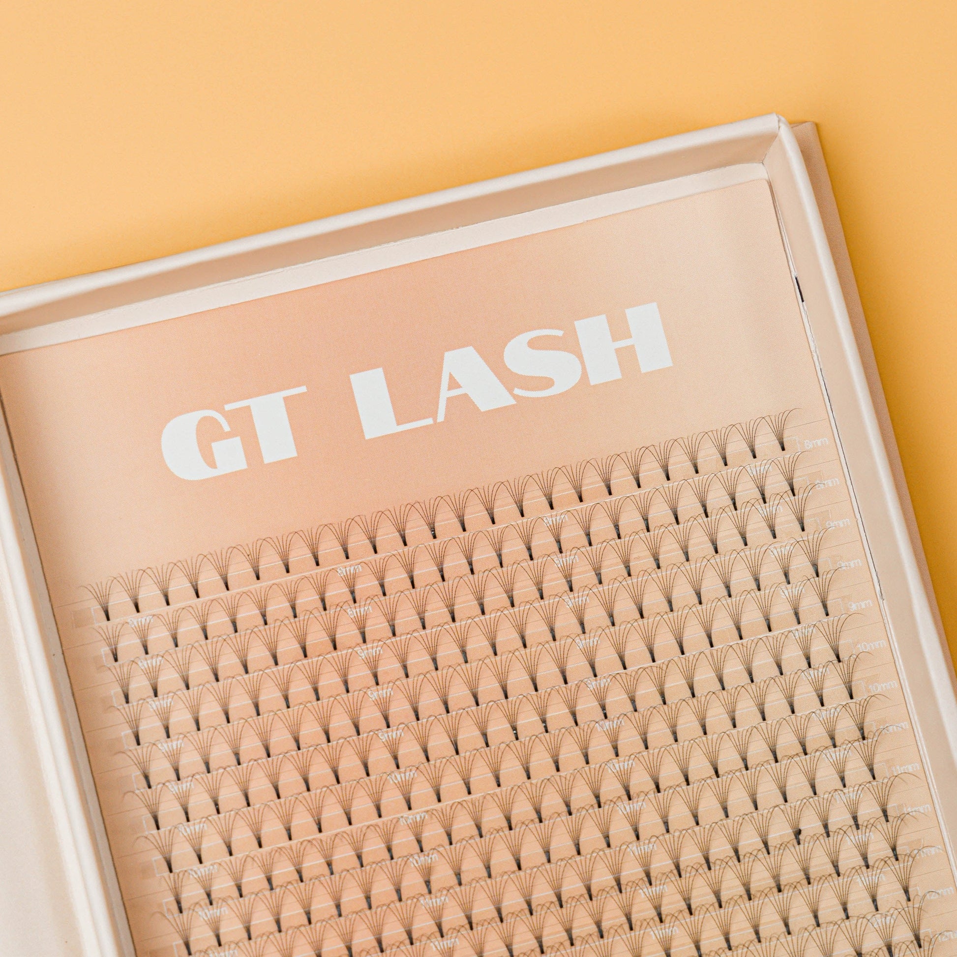 GT Lash 6D Mega Volume Premade Lash Fans in mixed lengths 8mm to 14mm and C/CC/D curl.