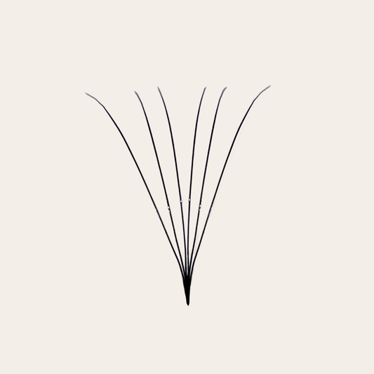 Isolated 6D Premade Volume Lash Fan – Long Stem XL Box Design by GTLASH