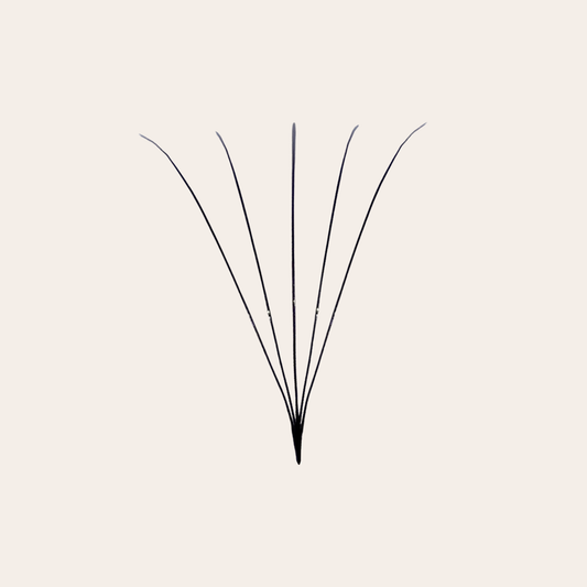 Isolated 5D Premade Volume Lash Fan – Long Stem XL Box Design by GTLASH