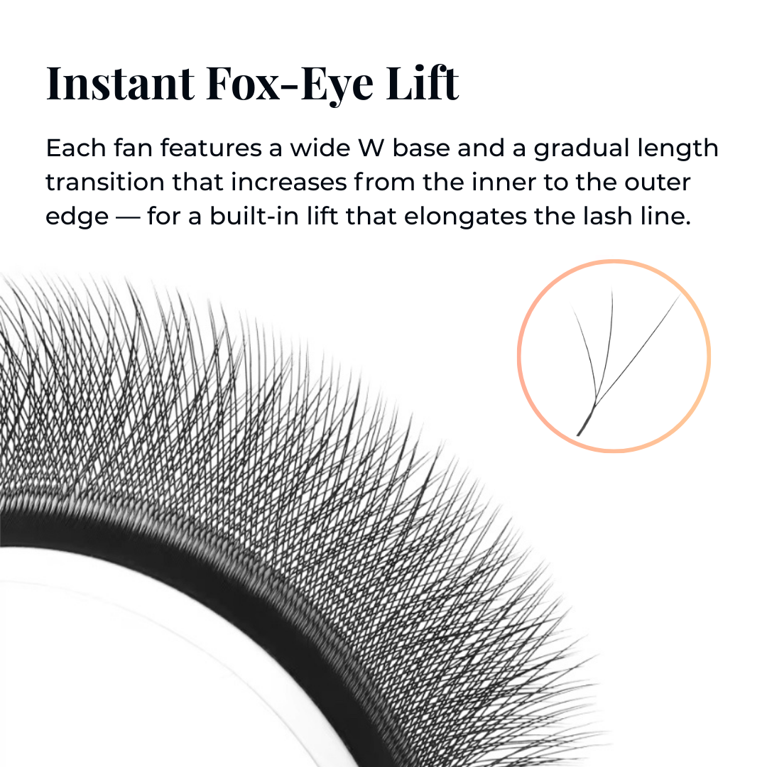 Close-Up of GT Lash Co Fox 3D W Lash Fans – Built-In Fox Eye Lift with Gradual Length Taper and W Base Design