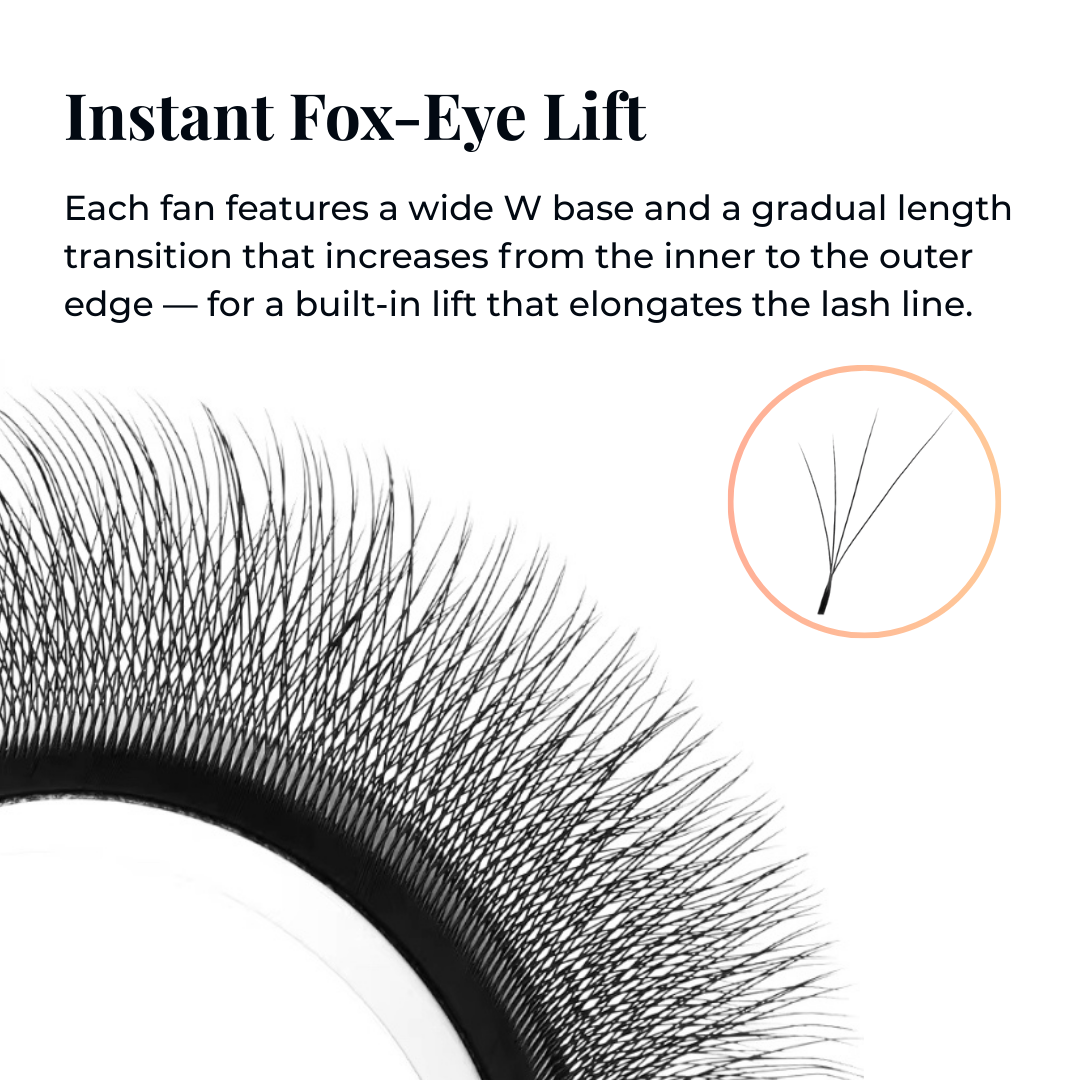 Close-Up of GT Lash Co Fox 4D W Lash Fans – Built-In Fox Eye Lift with Gradual Length Taper and W Base Design