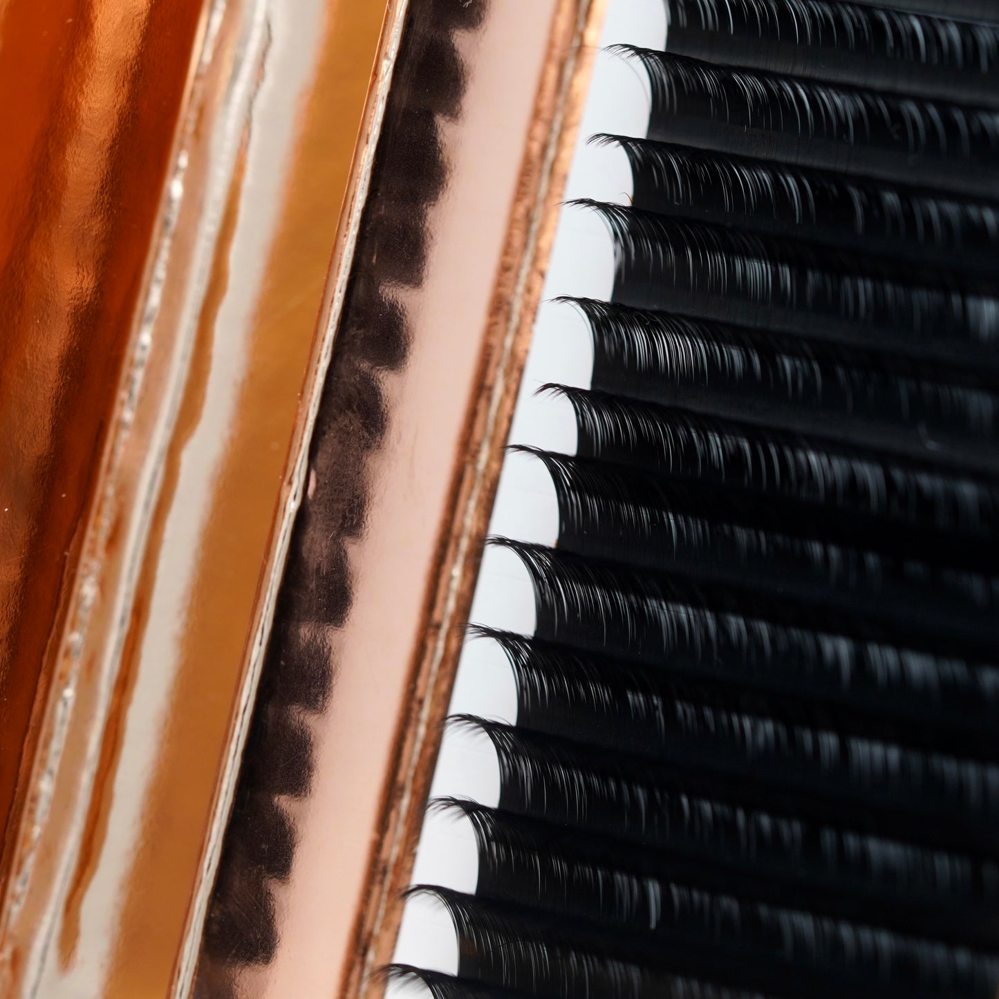 Close-up of GT Lash Co cashmere volume lash extensions — ultra-soft matte fibers for handmaking fans and premium lash sets