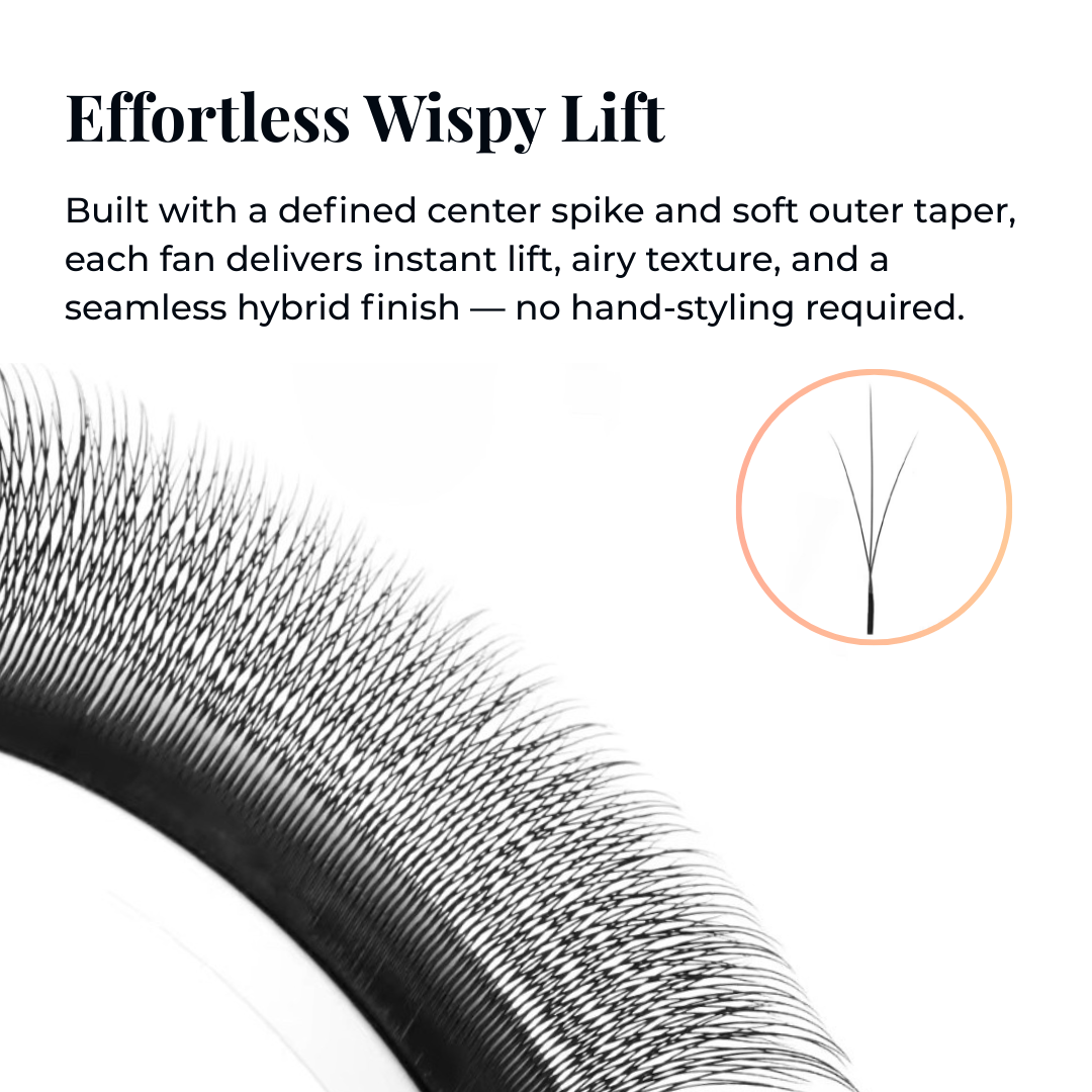 Close-up of Wispy 3D W Lash Fans featuring a bold center spike and soft outer taper, designed for airy texture and hybrid lash sets.
