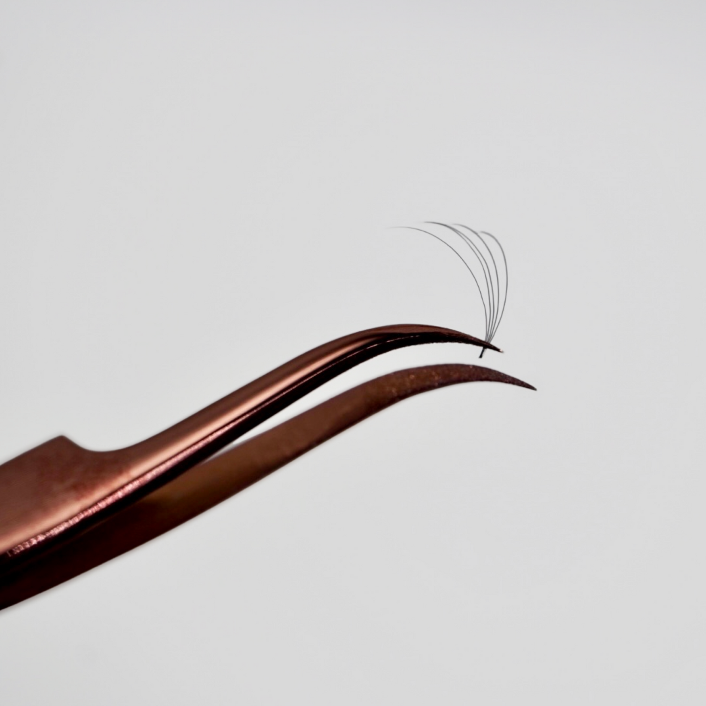 5D Premade Fan on Tweezer Tip – GTLASH Long Stem Lash Extension Pickup