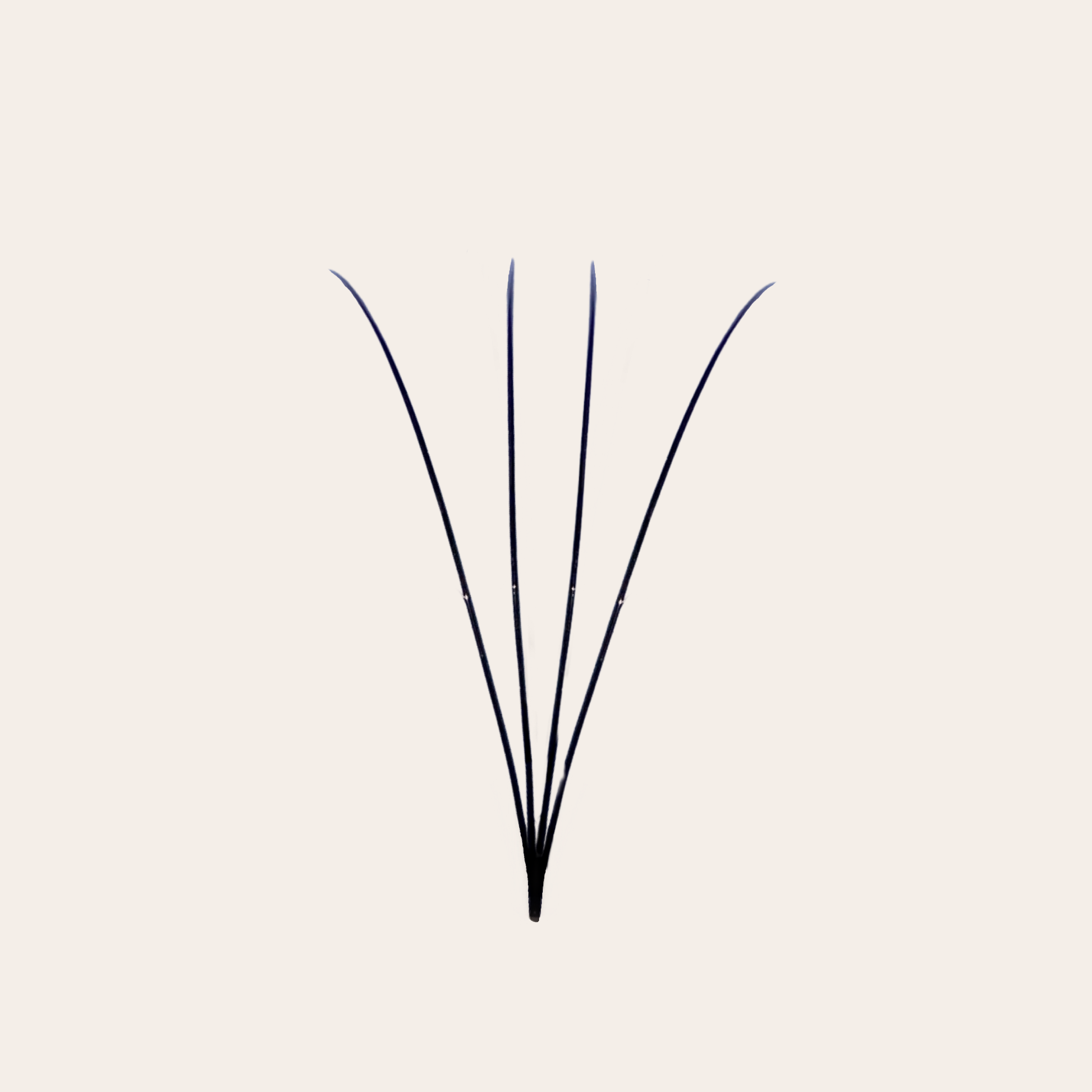 Isolated 4D Premade Volume Lash Fan with Long Stem – GTLASH XL Box