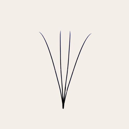 Isolated 4D Premade Volume Lash Fan with Long Stem – GTLASH XL Box