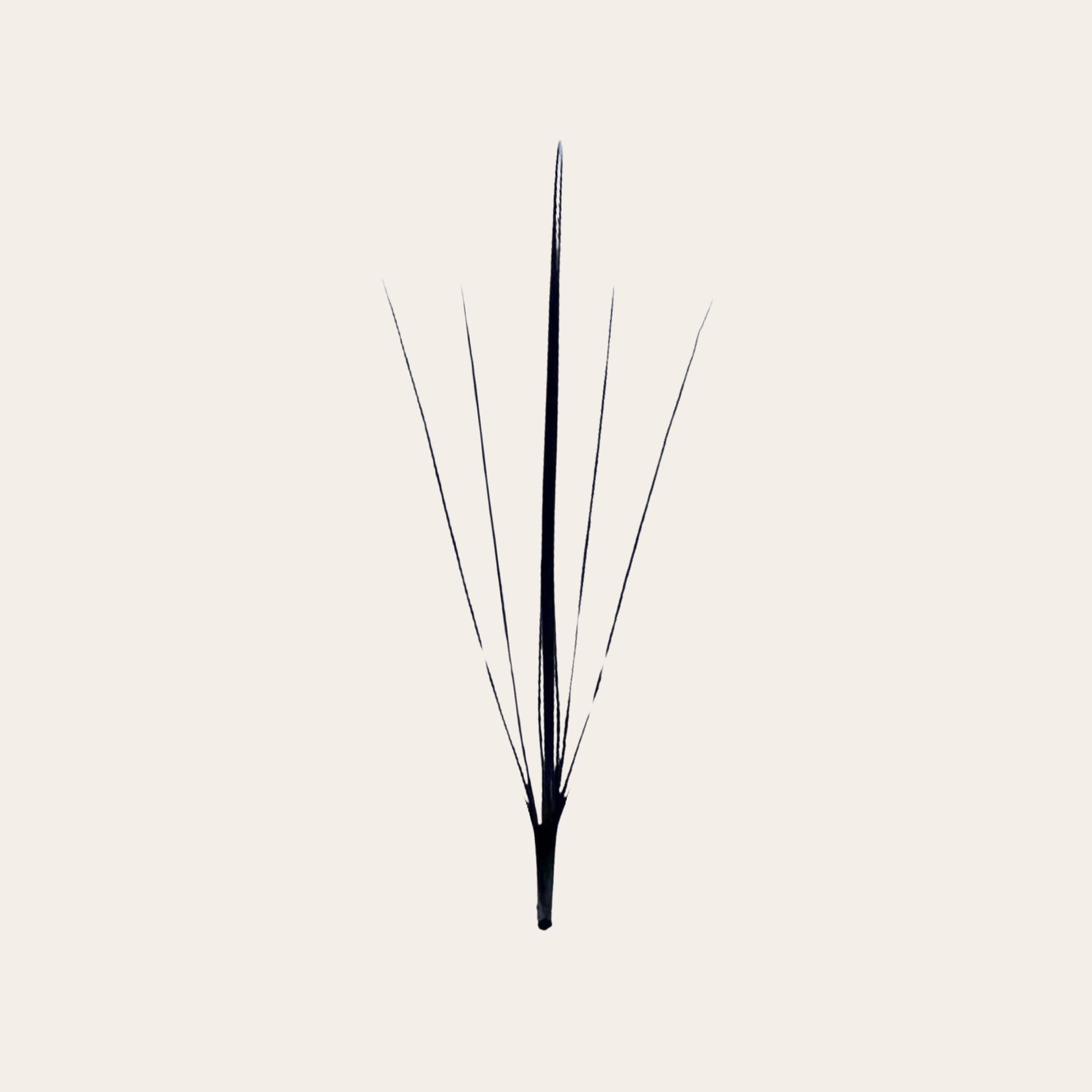 5D Wispy Premade Lash Fan – Long Stem Volume Fan from GTLASH
