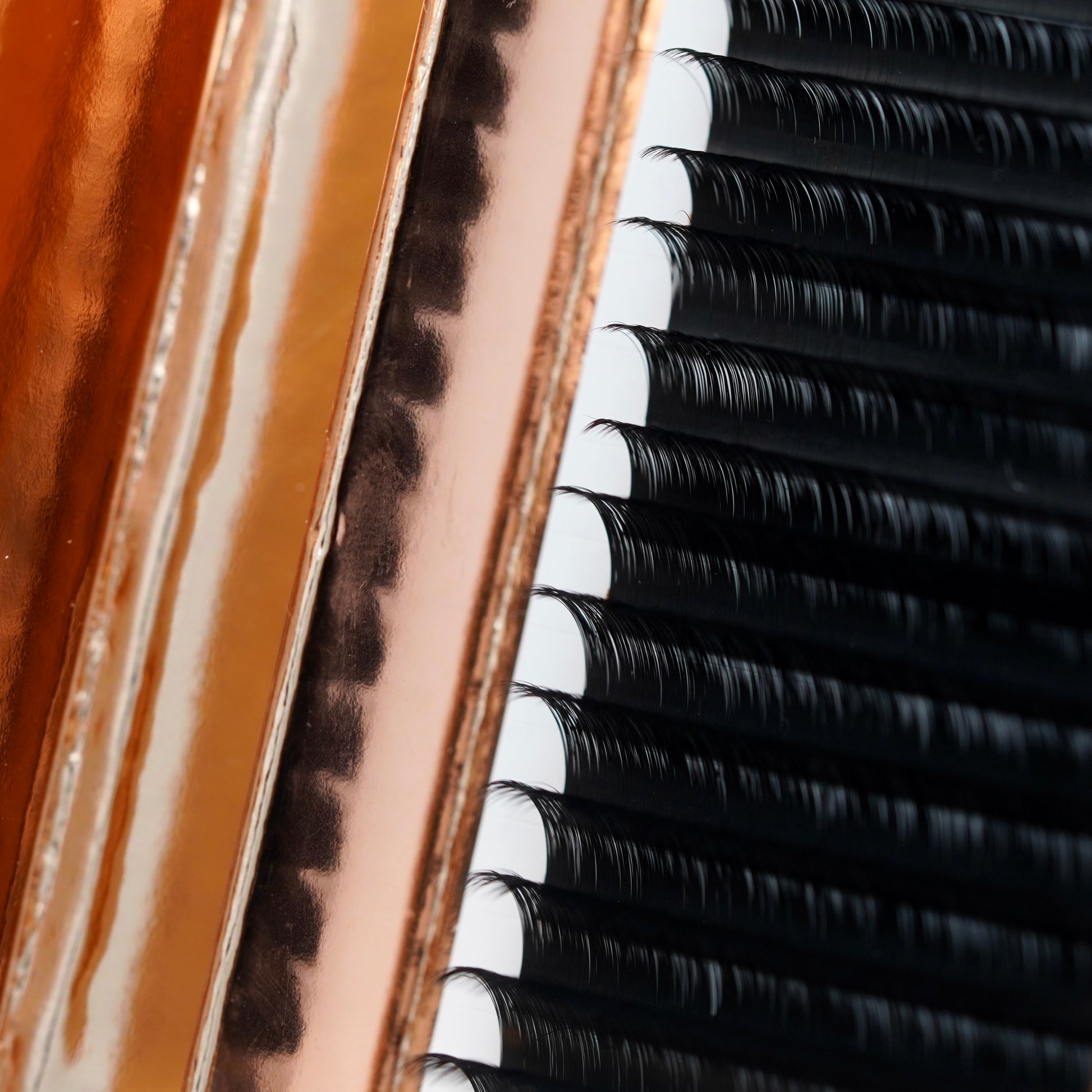 Close-up of GT Lash Co cashmere volume lash extensions — ultra-soft matte fibers for handmaking fans and premium lash sets