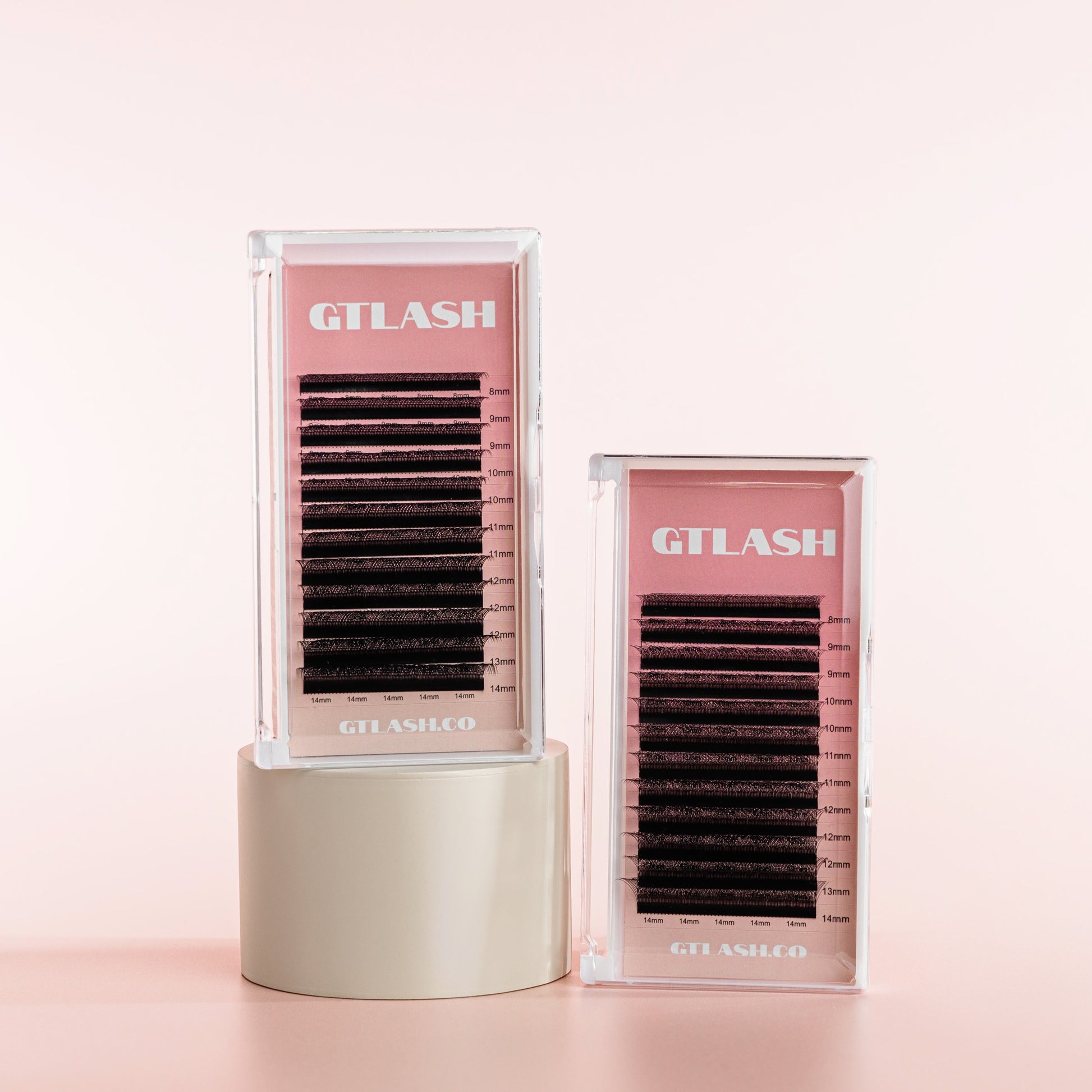 GT Lash Co 5D W Premade Lash Fans — ultra-full 5D W volume lash extensions in vertical lash trays for maximum density, textured volume, and high-impact sets.