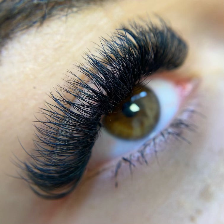 Dramatic Lash Set Using GTLASH 10D Mega Volume Premade Fans – Full Fluffy Finish