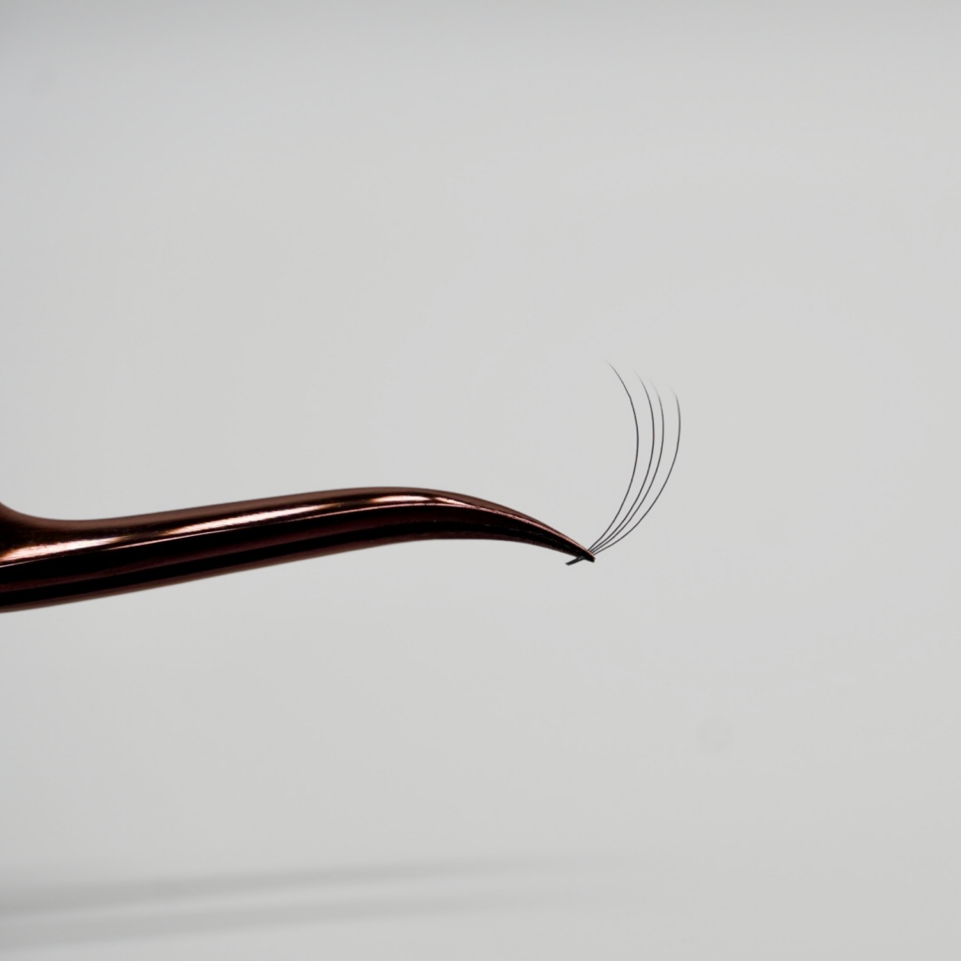 GTLASH Premade Volume Fan on Tweezer Tip – 4D Long Stem Lash Extension
