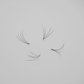 Loose 4D Premade Lash Fans Displayed for Texture and Shape Preview