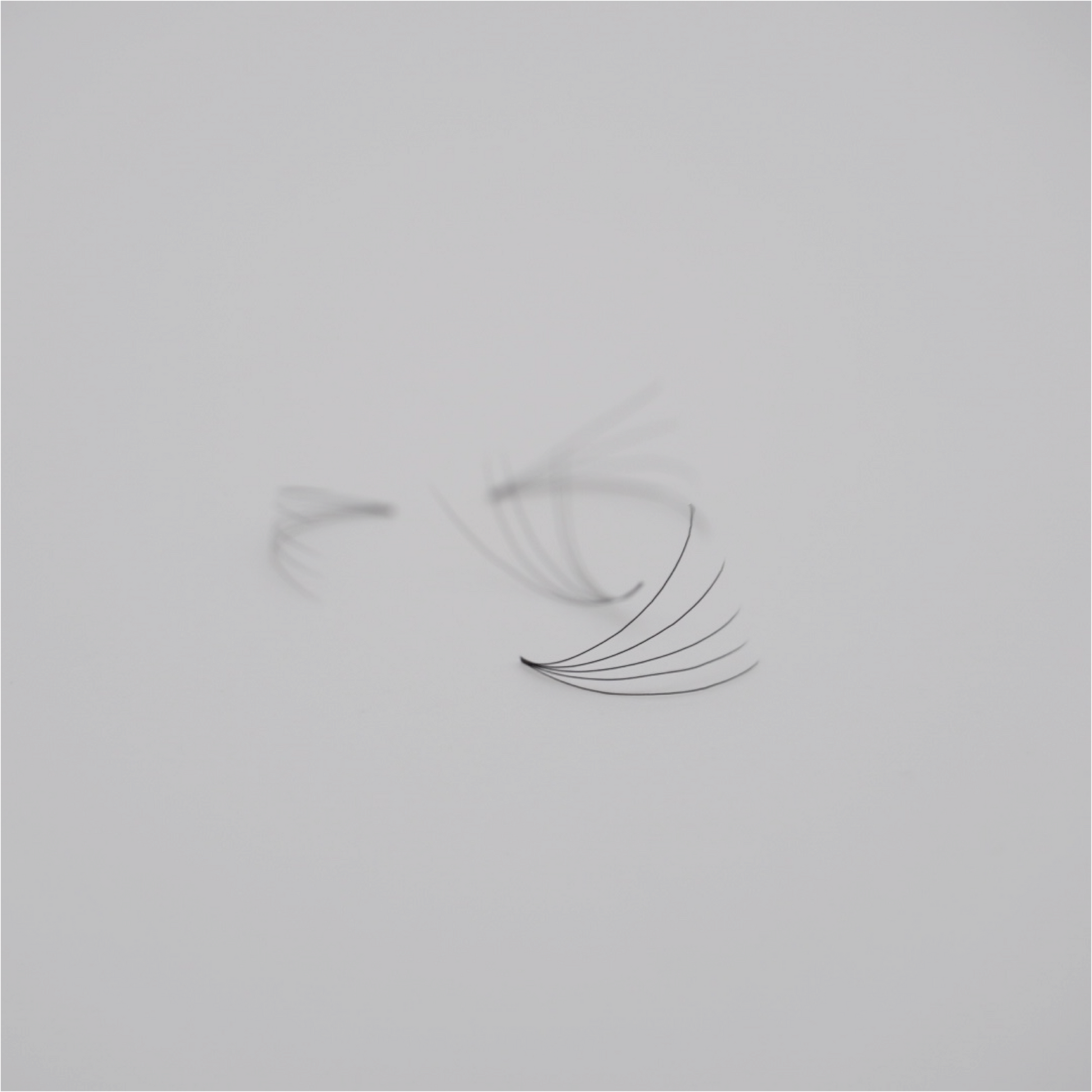 Loose 5D Premade Lash Fans Displayed on White Surface for Shape Preview