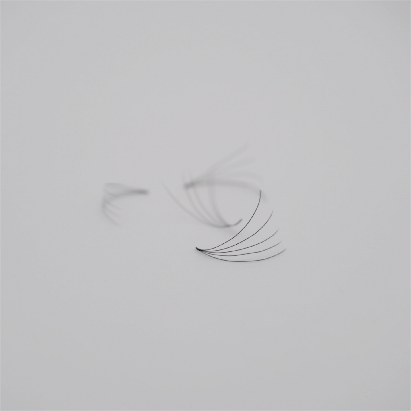 |XL Box| 5D Volume Mix - 1200 Fans